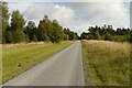 Straight track in Dalby Forest in Allerston