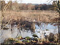 Flooded ground, Manor Hall, Deanston in Deanston