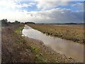 Flooded path at Lockwell Ings in DN11 0BQ
