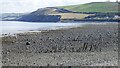 Line of timber stakes on the beach near Aberaeron in SA46 0JP