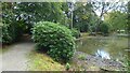Path and pond at Llanerchaeron in SA48 7PU