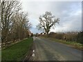 Main Road approaching Haunton in B79 9HH