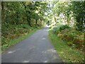 Country Lane North of Lampeter/Llanbedr Pont Stefan in SA48 8AW