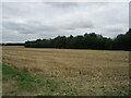 Stubble field near Great Stukeley in PE29 6YB