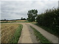 Bend in a bridleway to Great Stukeley in PE29 6JQ