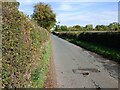 Country Lane near Brockhampton in HR1 4SL