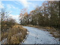 Frosty path, Strathclyde Park in ML1 3PD