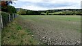 Field near Croose Farm in HR1 4RB