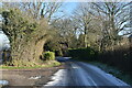 Frost on Hattingley Road in GU34 5NJ