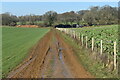 Muddy track north from Trinity Farm in GU34 5NU