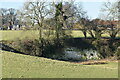Disused chalk pit in field south of Bentworth in GU34 5LE