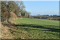Field edge at Bentworth in GU34 5LE