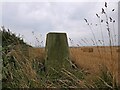 Triangulation pillar, Roadside, Aberdeenshire in AB43 7BL