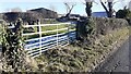 Field gateway on NE side of road at Stockdale Hall in CA8 9AT