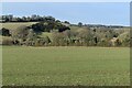 View across field below Woodcote Lane in SO32 1JJ