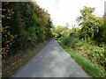 County Lane at Jones's Wood in HR8 2PB