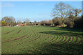 Farmland, Binfield Heath in RG9 4JZ