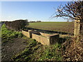 Old troughs, Bradmore Lane in Bradmore