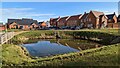New homes and attenuation pond at Allscott Meads in TF6 5EQ