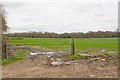 Fields south of Melchetcourt Farm in SO51 6FS