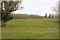 Fields north of Melchetcourt Farm in SO51 6FS