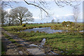 Pond north of Dihewyd in SA48 7PP