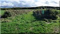 Track between fields in WV8 1QX
