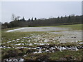 Waterlogged and frozen field, Sizergh estate in LA8 8AQ