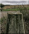 Triangulation pillar, East Fortune, East Lothian in EH39 5JU