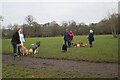 Hang on to your dogs: dog walkers, Weelsby Woods (1) in DN32 8PY