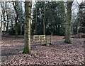 Footbridge in Quaker's Coppice in CW1 6YA