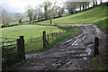 Track north west of Troed-y-rhiw in SA40 9TL