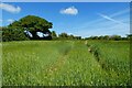 Farmland, Gwennap in TR4 8SG