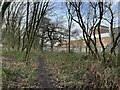 Path through woodland by industrial estate in CW1 6YA