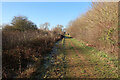 Footpath through Needingworth Gravel Pits in PE27 4TA
