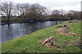 River Derwent, Ambaston in DE72 3NS