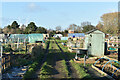 Allotments beside Commercial Road, Staines in TW18 2PH