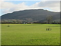 Green fields and shadowy moors in TS9 7HL
