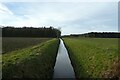 Tillmire Drain towards Cooper's Plantation in YO10 5EJ