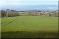 Farmland below Garway Hill in HR2 8EY