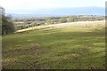 Farmland above Kentchurch Park in HR2 0DB