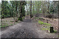 Path through Sheringham Wood in NR26 8TP