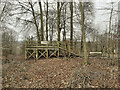 Wooden platform in Ashdown Copse in SP9 7TE