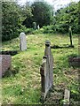 Old gravestones in St Illtyd's Churchyard in SA3 1EH