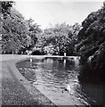 Bicclescombe Park, Ilfracombe, Devon taken 1960 in EX34 9RP