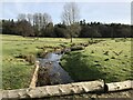 Lexham Hall snowdrop walk - 12 - The River Nar in PE32 2QP