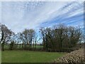 Pasture and trees on the banks of Afon Syfni in SA63 4QZ