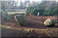 Druids Park Stone Circle in Murthly