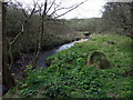 River Alun below Tyddewi/St David's in SA62 6PX