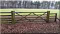 Gateway to field with conifer plantation along far edge of field in CA8 9JB
